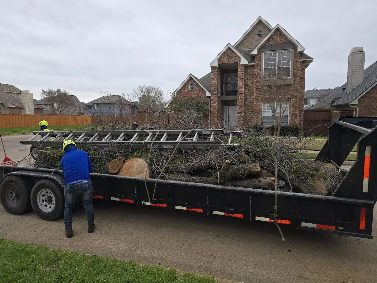 Expert Tree Pest Control with proper safety equipment in Tenafly